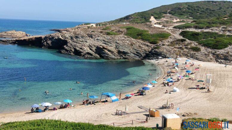 Porto Palmas posidonia