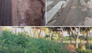 Proteste nei quartieri a Sassari, strade colabrodo e verde incolto
