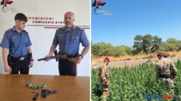 Scoperta coltivazione con 1.880 piante, arrestato allevatore a Tula