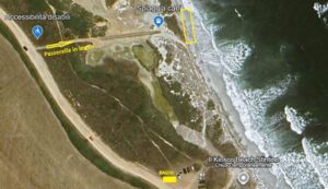 Stintino apre due spiagge per cani, via alle aree pet friendly