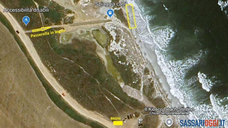 Stintino apre due spiagge per cani, via alle aree pet friendly