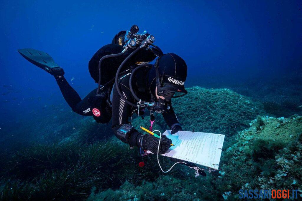 “Mare caldo”, Asinara tra le aree più colpite del Mediterraneo