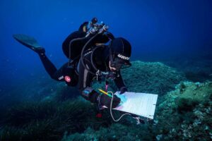 greenpeace mare caldo asinara
