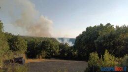 incendio bonorva