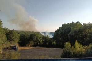 incendio bonorva
