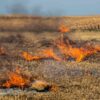 incendio