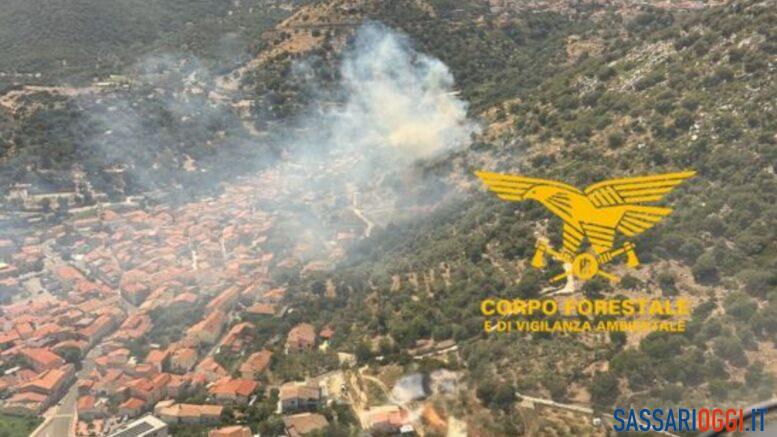 Incendio Bottidda
