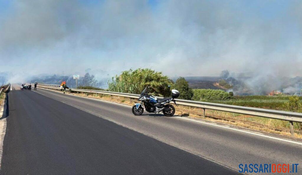 Incendio nelle campagne di Alghero, inizia la conta dei danni