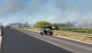 Incendio campagne Alghero