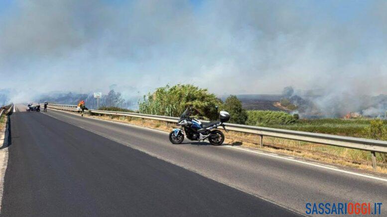 Incendio campagne Alghero