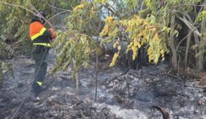 Incendio nelle campagne di Sorso, fiamme domate a Lu Barrili