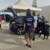 Peste suina, sequestrata coscia di cinghiale al porto di Porto Torres