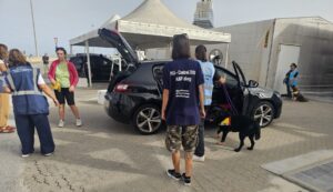 Peste suina, sequestrata coscia di cinghiale al porto di Porto Torres