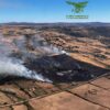 Ince Pozzomaggiore località Riu Carvonarza Pascoli alberati
