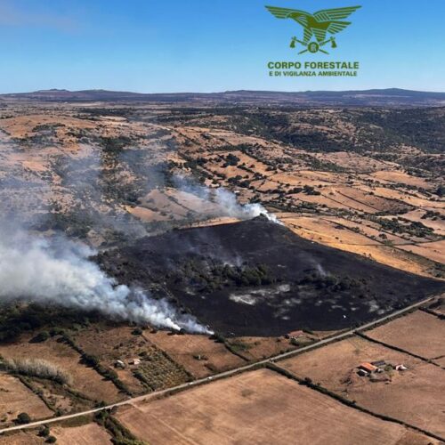 Ince Pozzomaggiore località Riu Carvonarza Pascoli alberati
