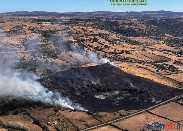 Ince Pozzomaggiore località Riu Carvonarza Pascoli alberati