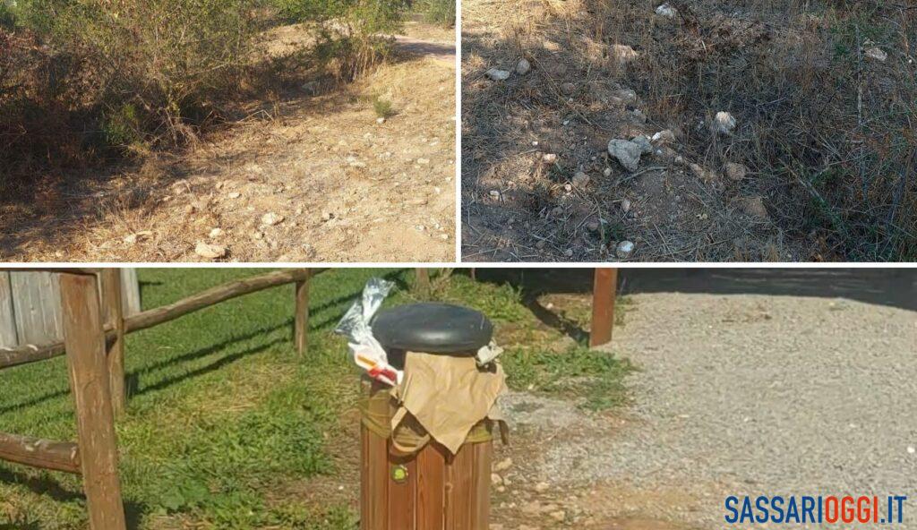 Ex Colonia Campestre nel degrado a Sassari, rifiuti e rami pericolosi