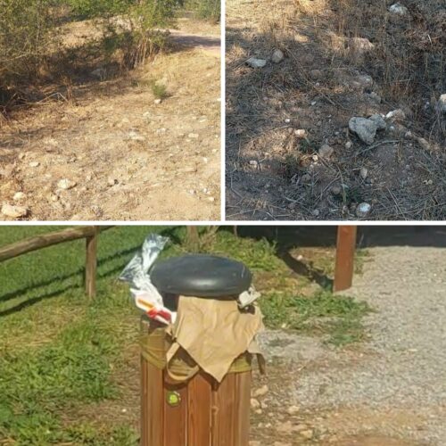 Ex Colonia Campestre nel degrado a Sassari, rifiuti e rami pericolosi