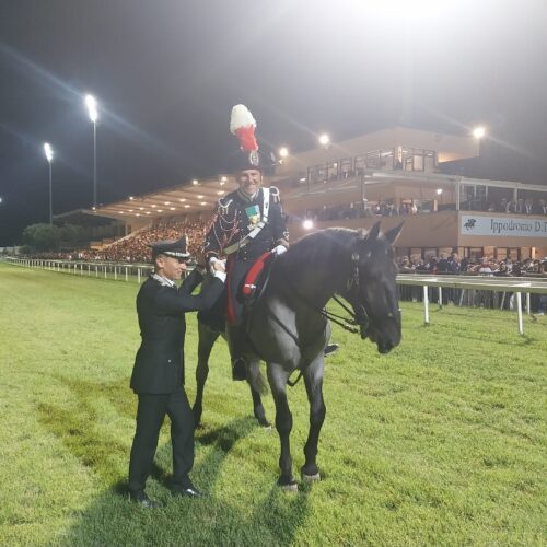 derby sardo