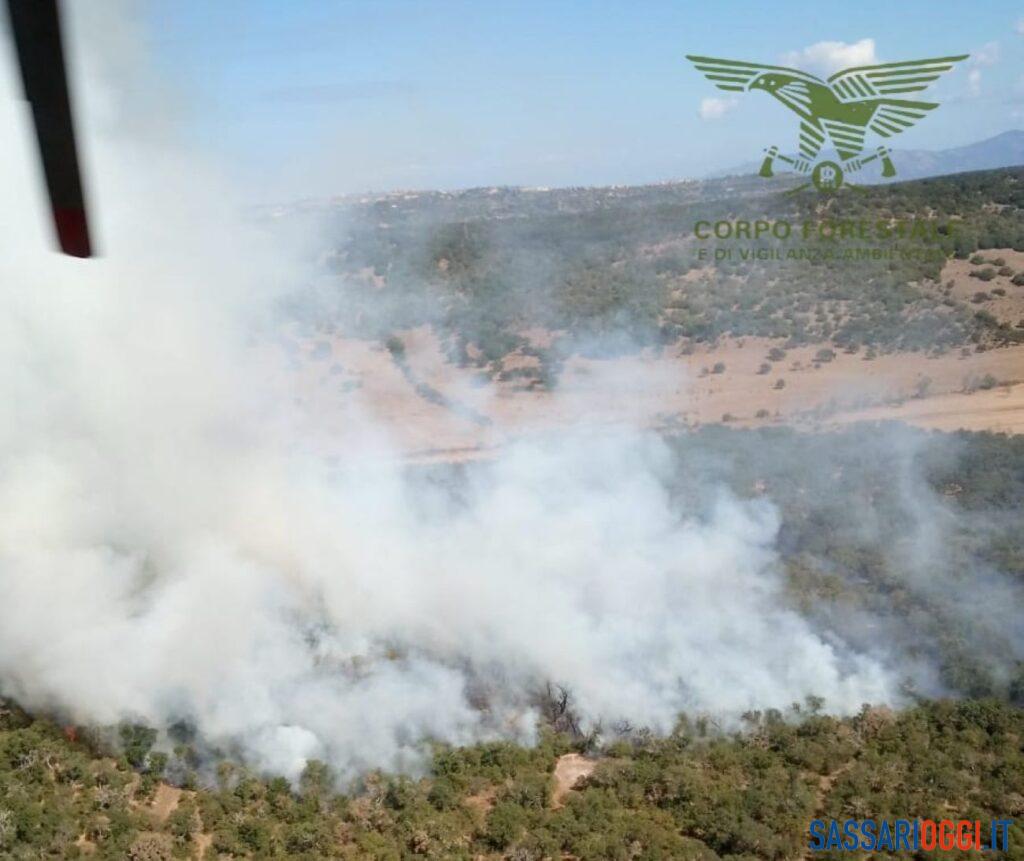 Incendio in un bosco di Chiaramonti, in azione elicotteri e Canadair
