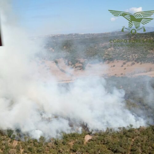 chiaramonti incendio corpo forestale