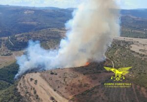 incendio ittiri corpo forestale