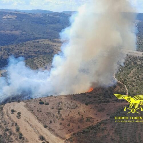 incendio ittiri corpo forestale