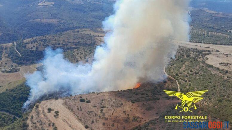 incendio ittiri corpo forestale