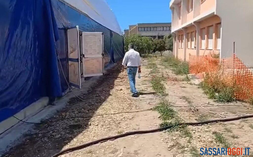 Palestra vicino alla scuola al posto del parco, protesta ad Alghero