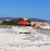 turista abusivo pesca asinara carabinieri