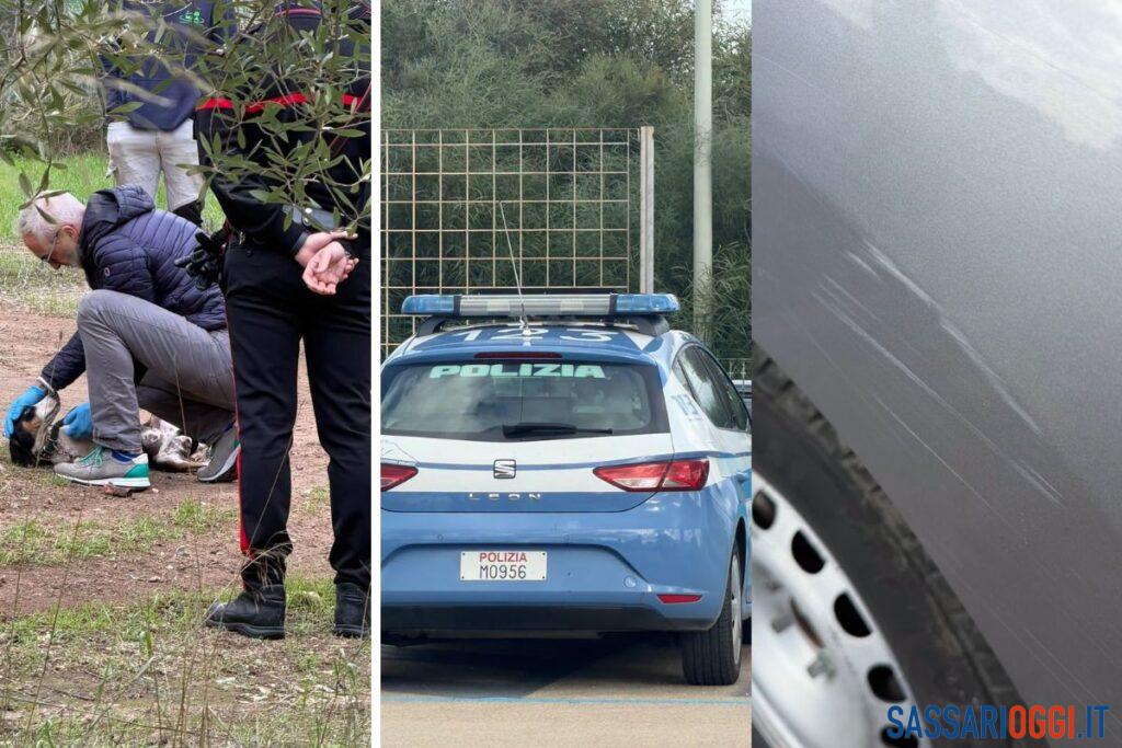 Dai cani di Uri ai graffi ad Alghero, weekend teso per l’attivista Rizzi