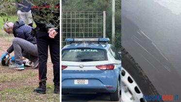 enrico rizzi carabinieri polizia cani uri sassari alghero autonoleggio graffi