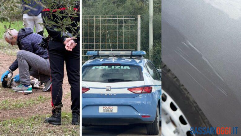 enrico rizzi carabinieri polizia cani uri sassari alghero autonoleggio graffi