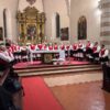 coro usini