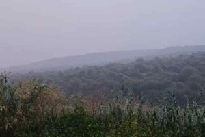 Meteo Sorso