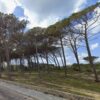 pineta maria pia alghero