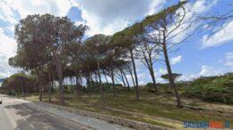 pineta maria pia alghero