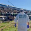 treni spagna passeggero sassari incidente foto